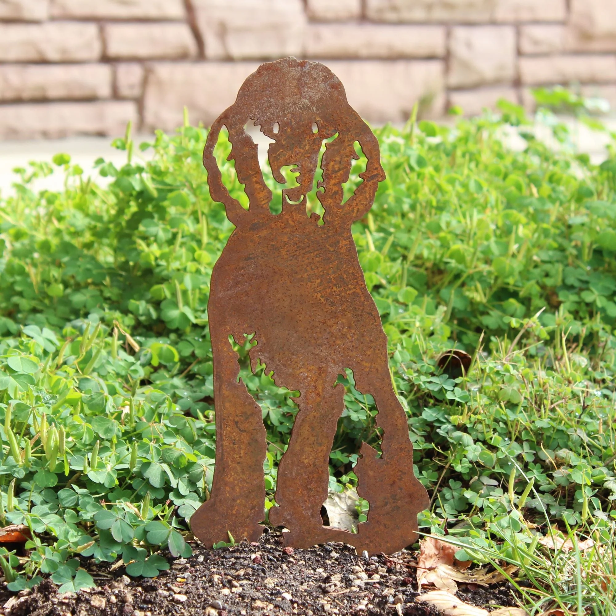 Poodle - Image 6