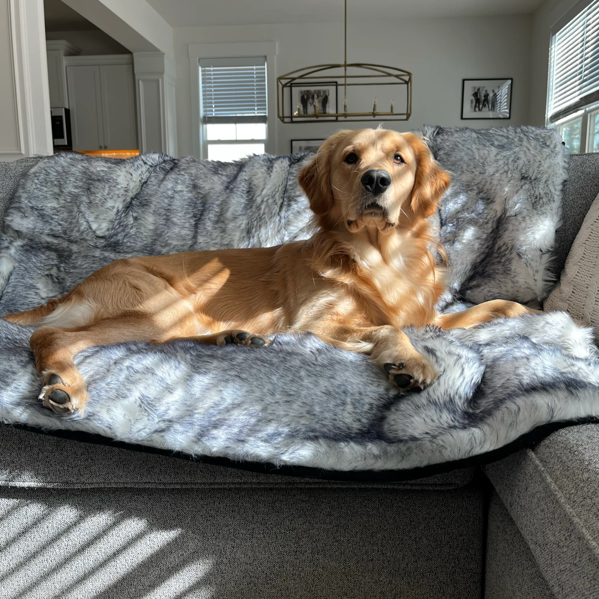 PupProtector™ Luxe Waterproof Faux Fur Blanket - Image 4