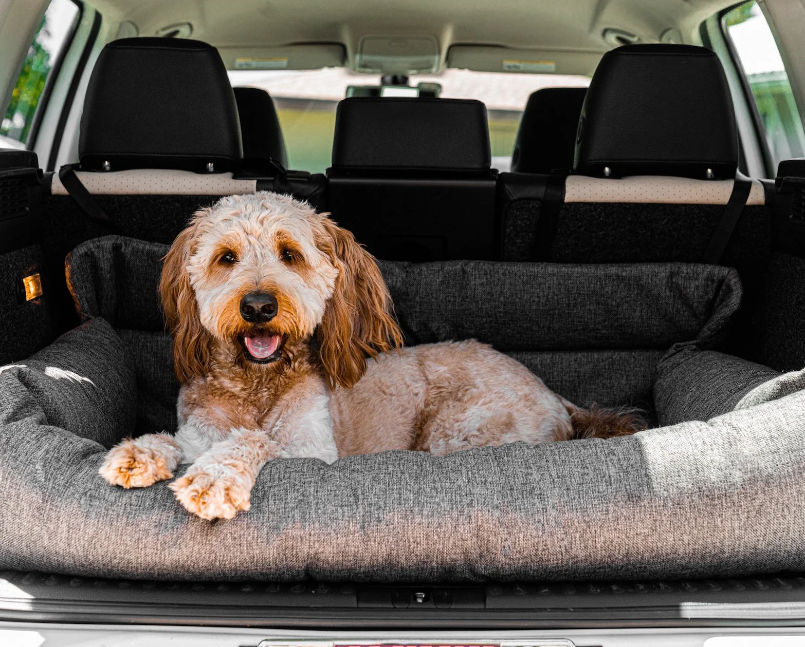 PupProtector™ Memory Foam Dog Car Bed - Image 14