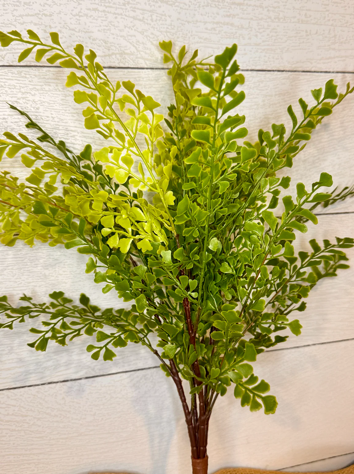 Real Touch Artificial Maidenhair Fern- Bundle of 4 - Image 4