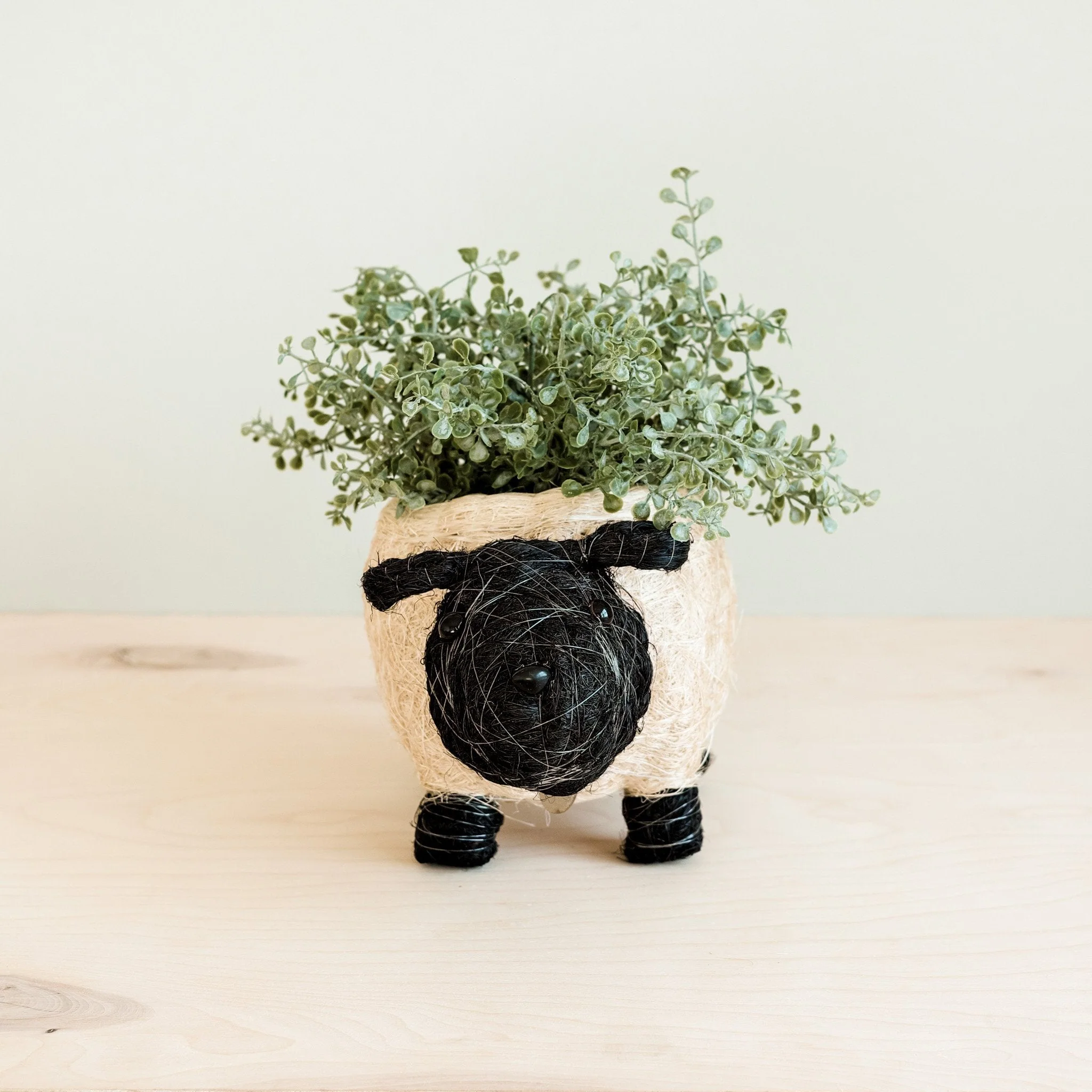 Sheep Planter - Coco Coir Pots - Image 3