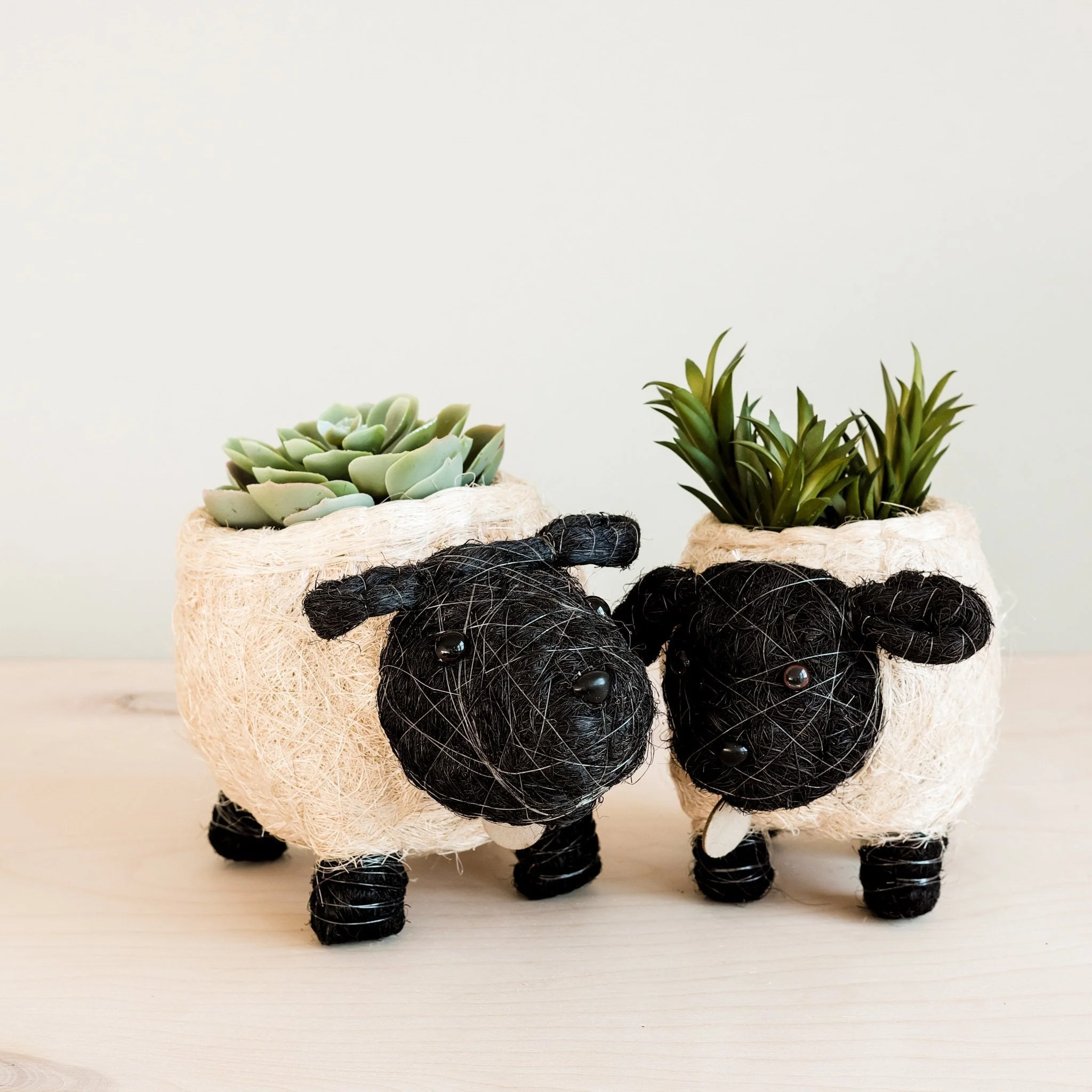 Sheep Planter - Coco Coir Pots - Image 4
