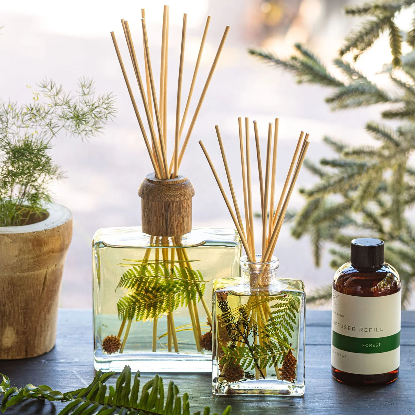 Signature Botanical Reed Diffuser - Forest - Image 2
