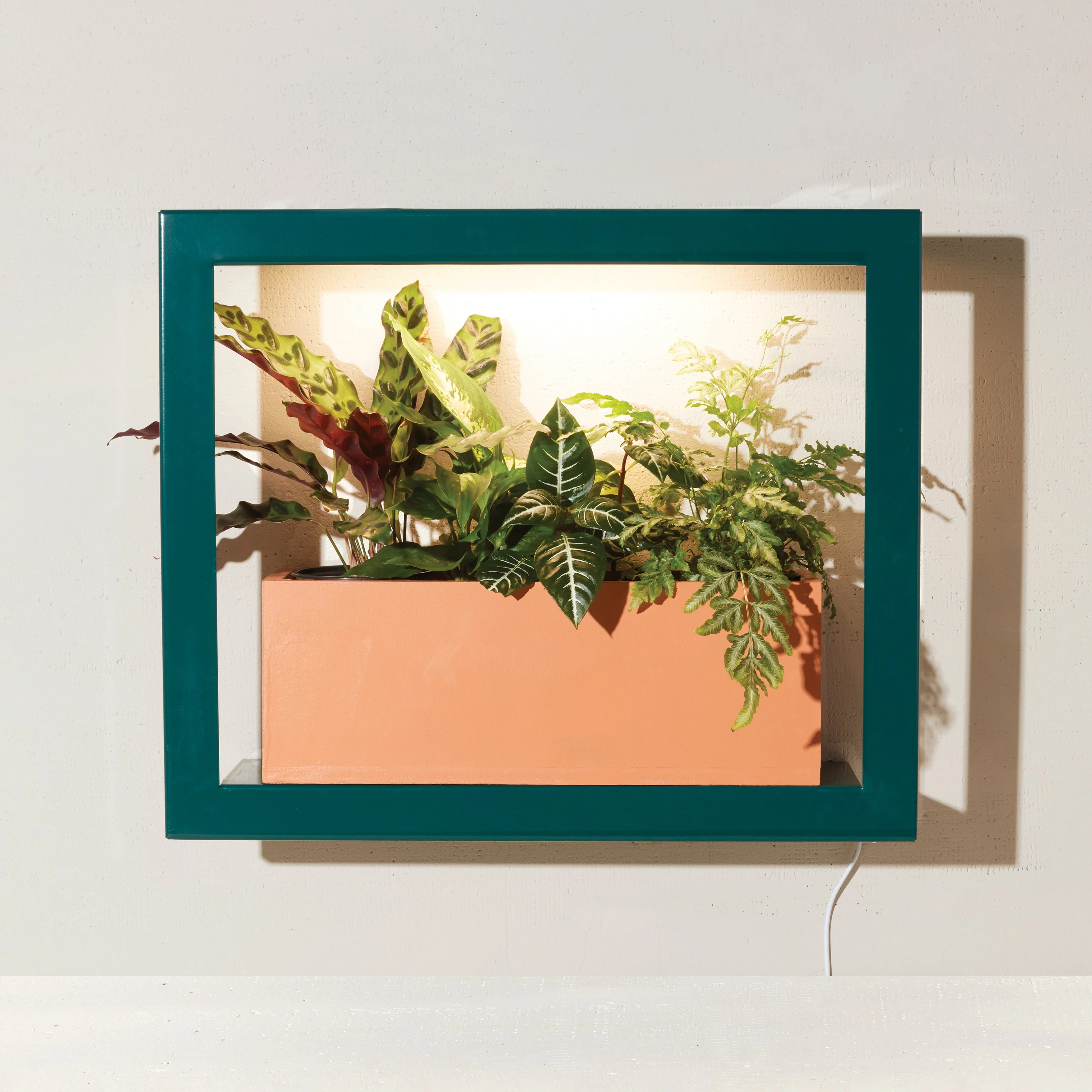 Smart Standard Growframe - Image 14