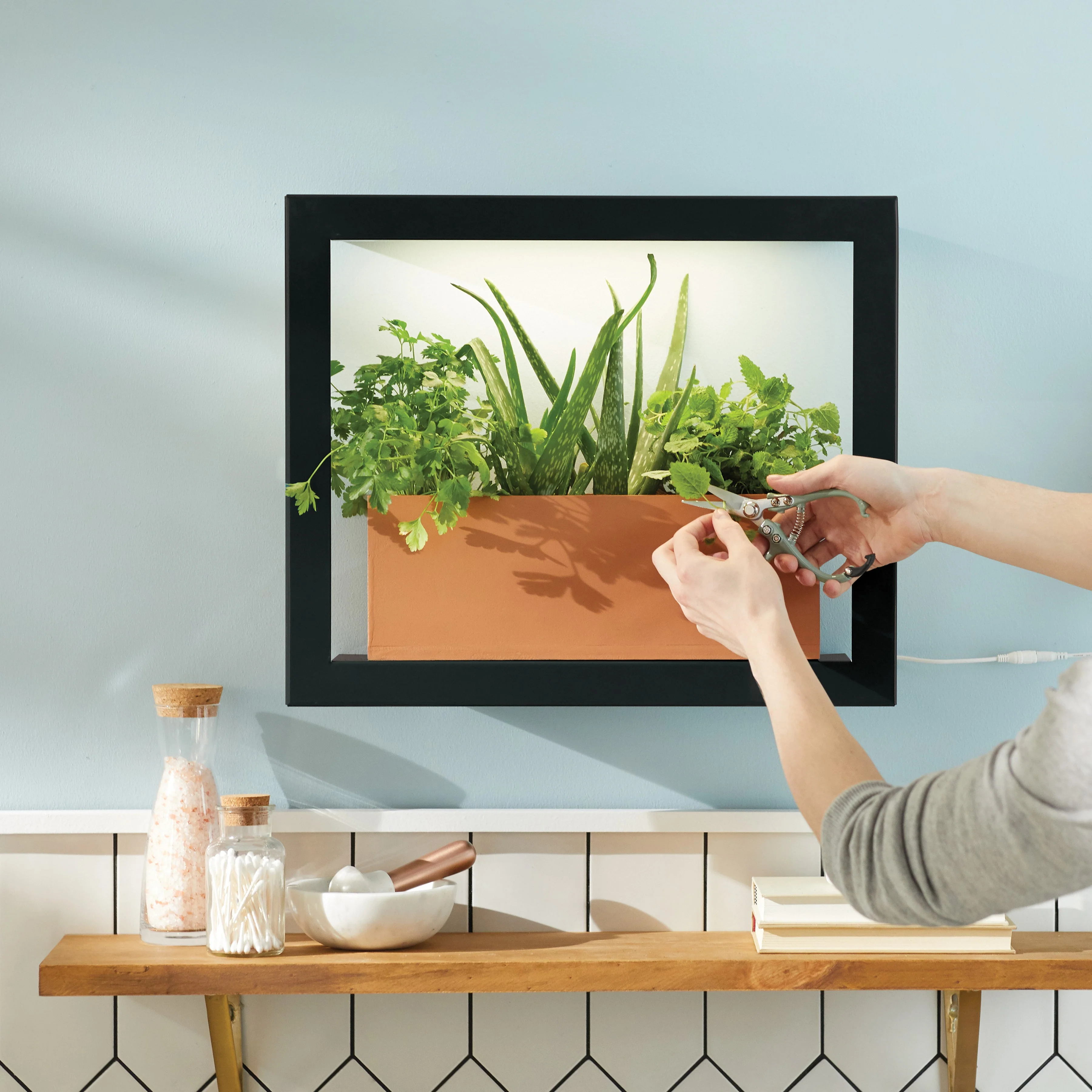 Smart Standard Growframe - Image 5