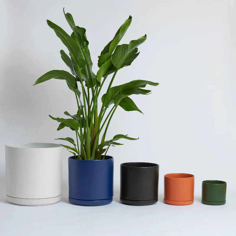 Solid Goods - Ceramic Cylinder with Saucer - Image 2