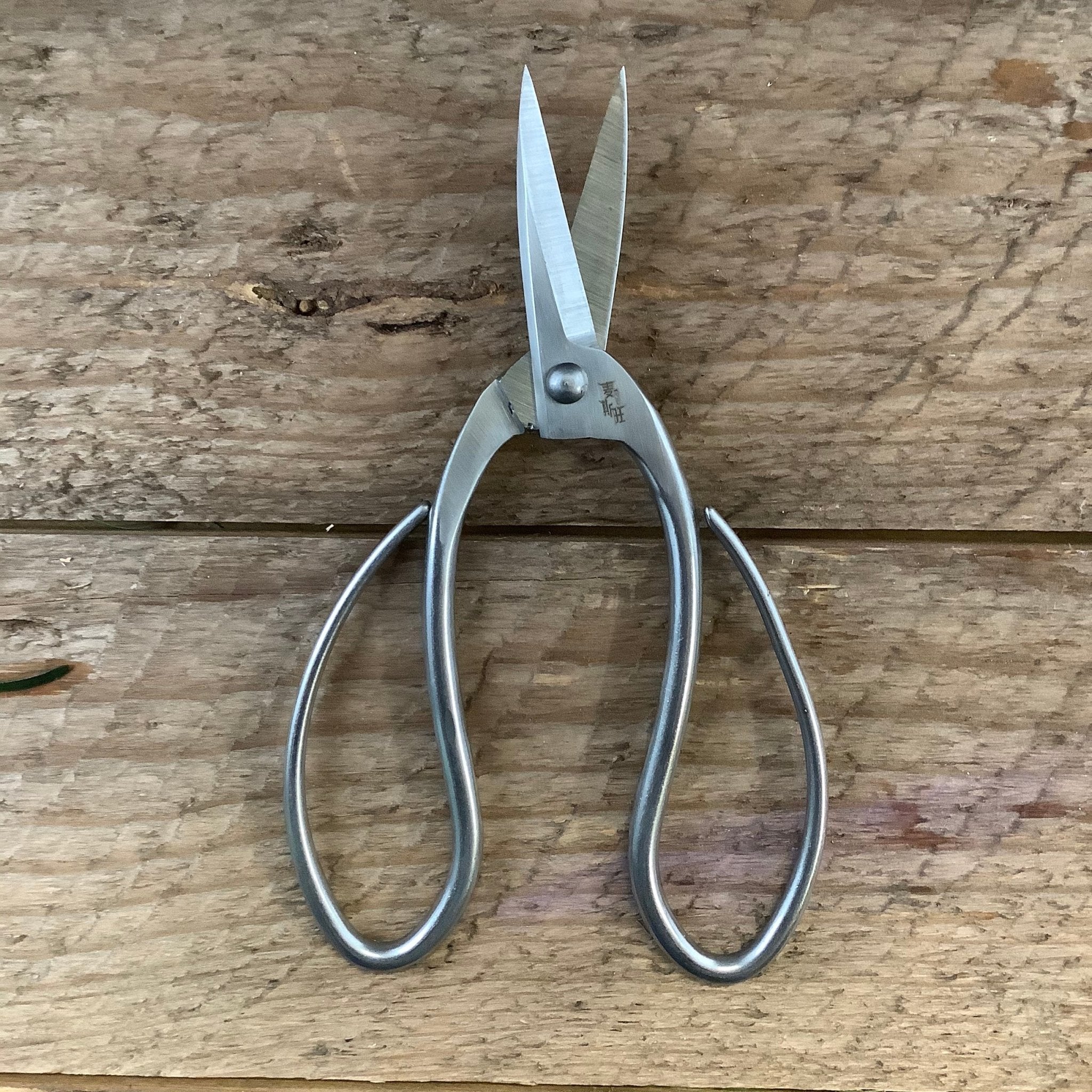 Stainless Garden Scissors - Image 5