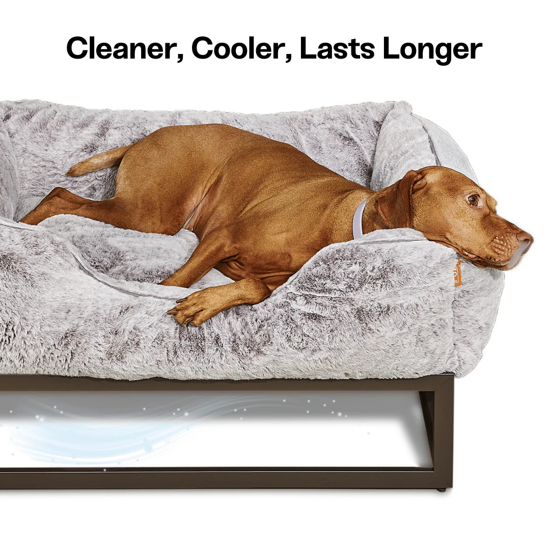 The FÜZI Dog Bed - Image 6