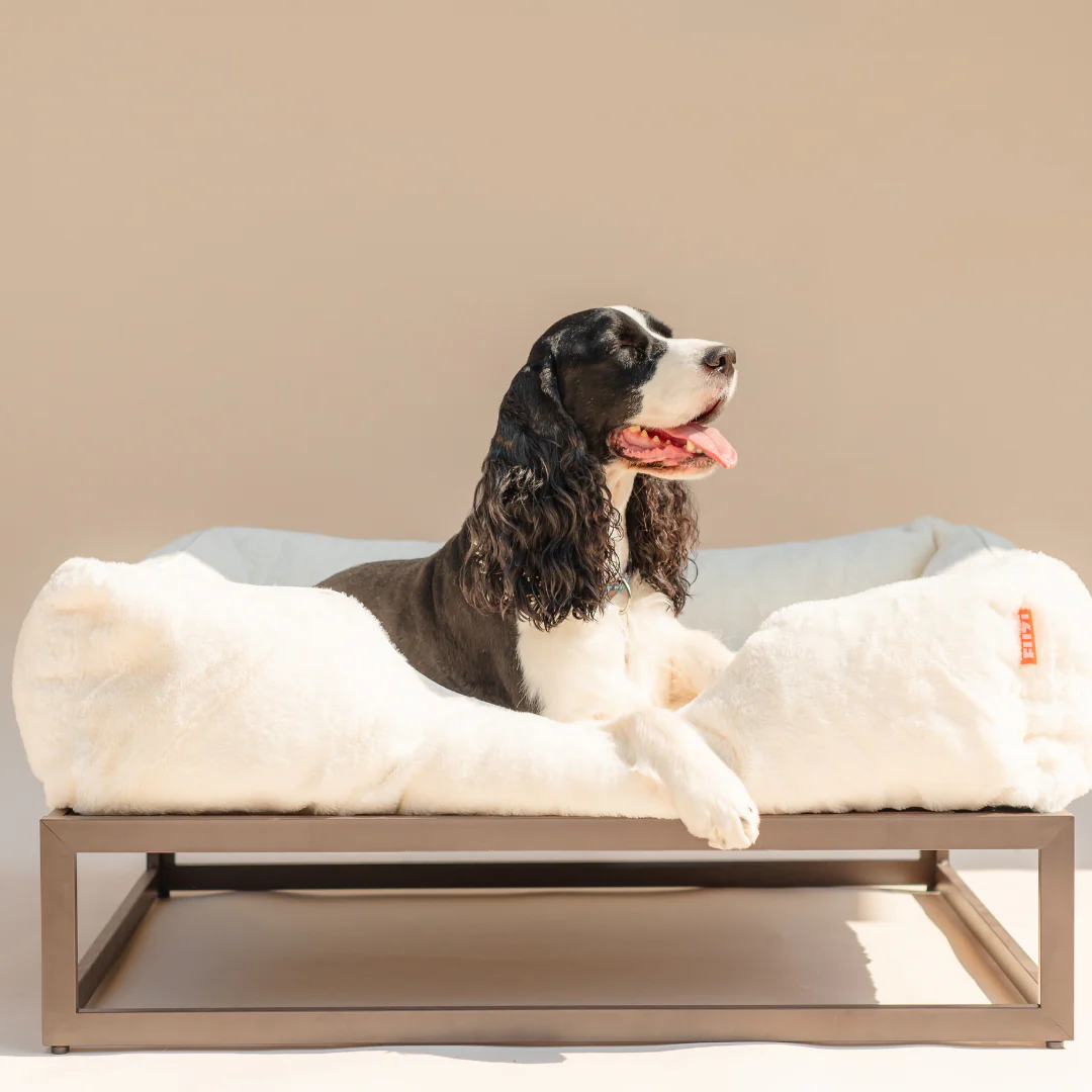 The FÜZI Dog Bed - Image 7