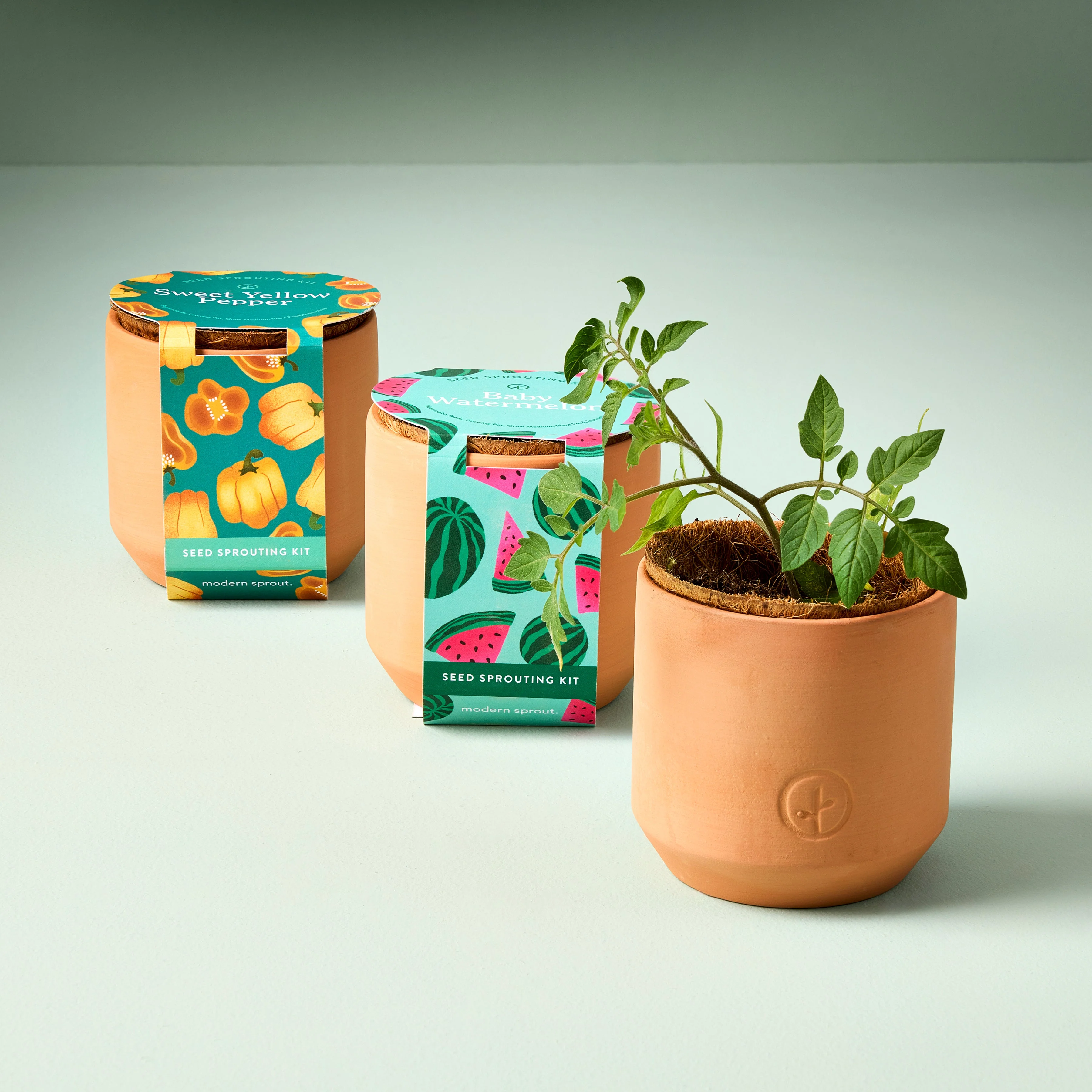 Tiny Terracotta Garden Kits - Image 2