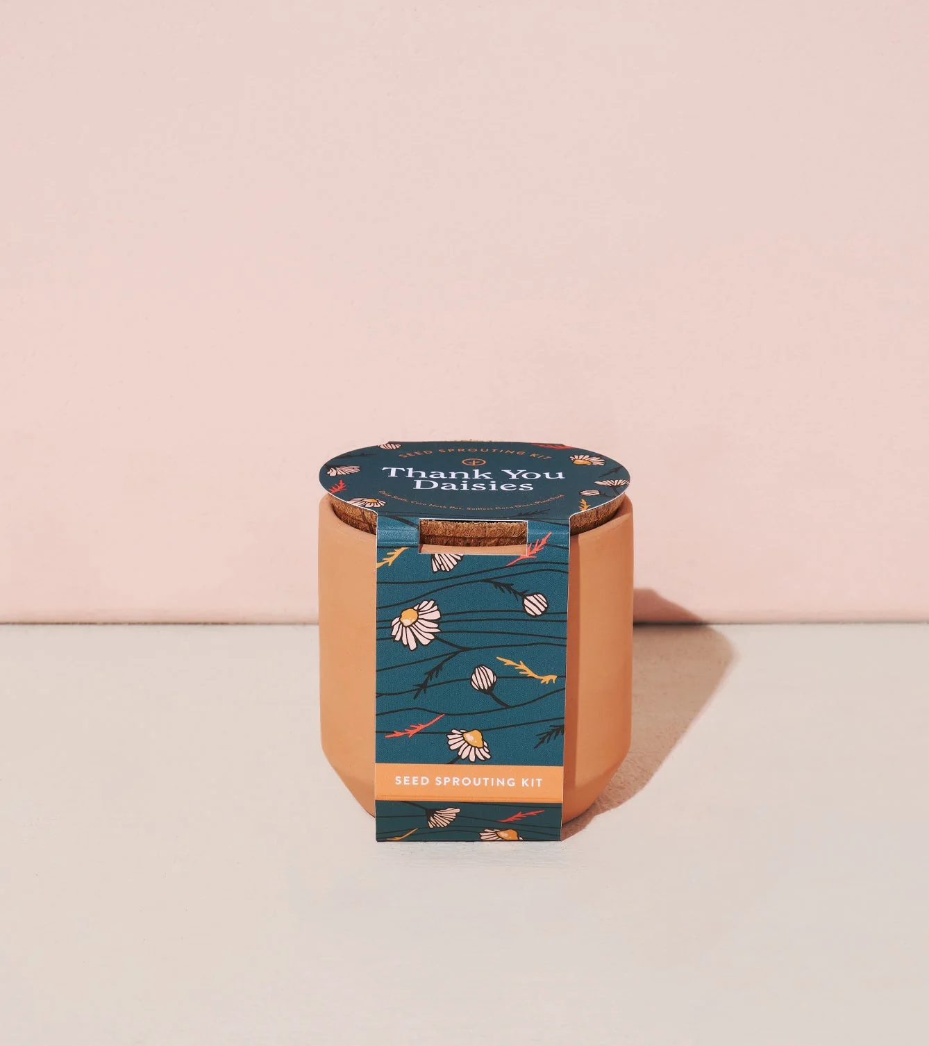 Tiny Terracotta Kits - Image 6