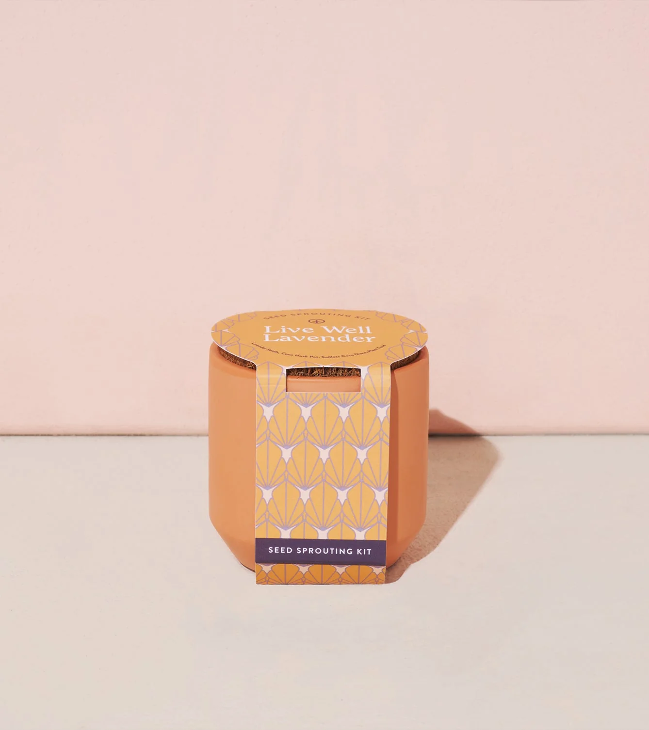 Tiny Terracotta Kits - Image 7