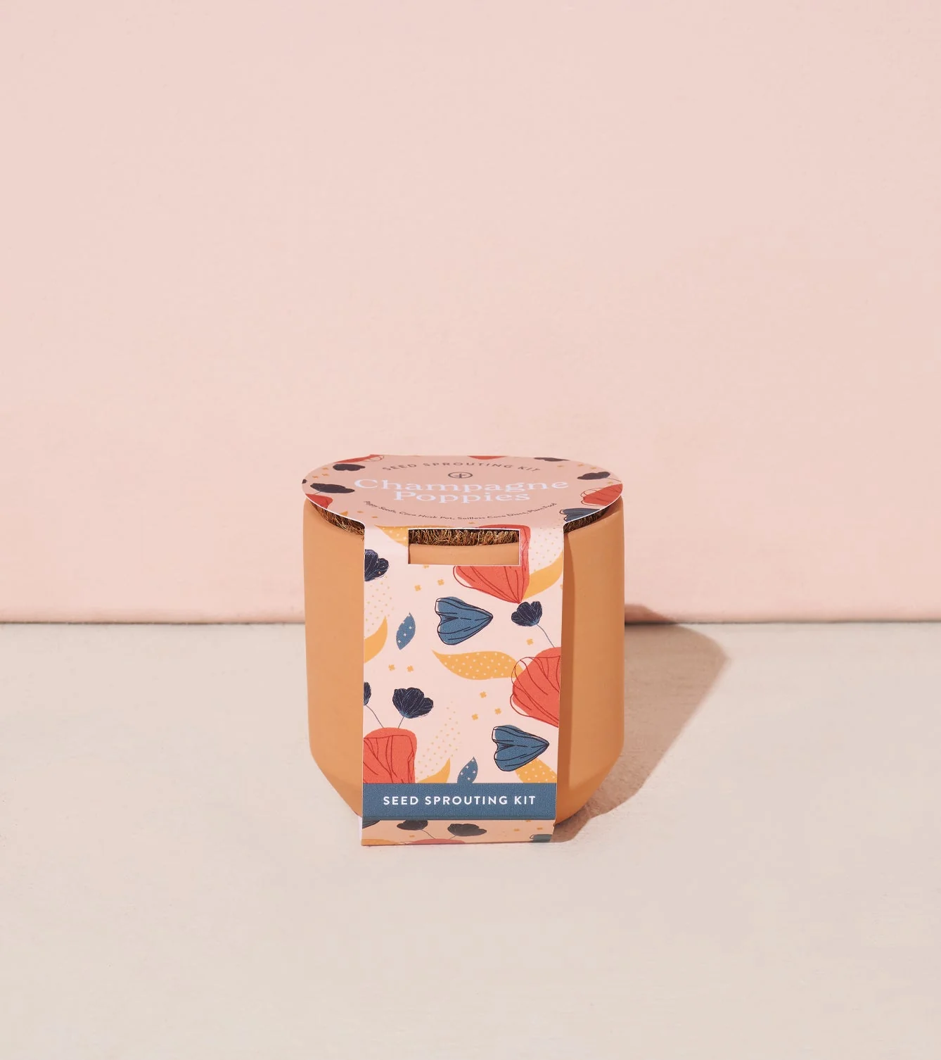 Tiny Terracotta Kits - Image 8