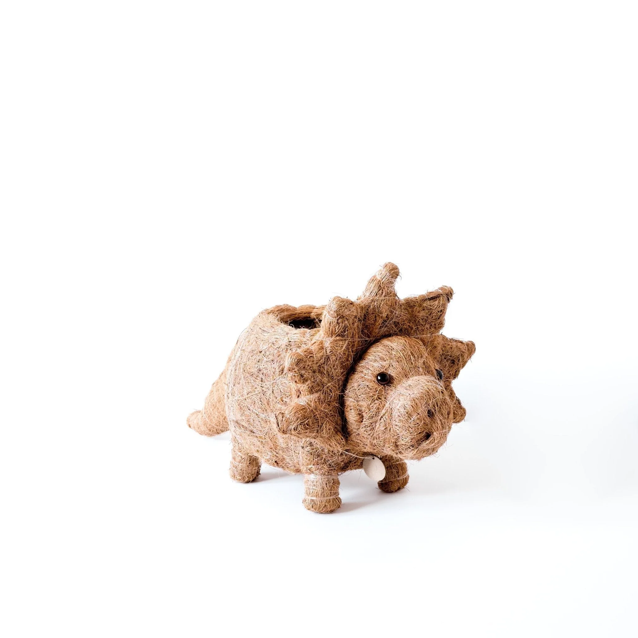 Triceratops Planter - Coco Coir Pots - Image 5