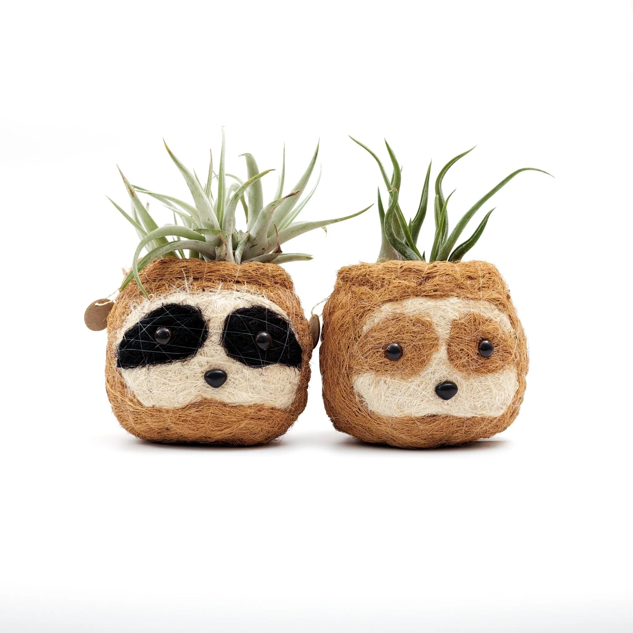 Two-tone Sloth Coco Coir Planter - Image 6