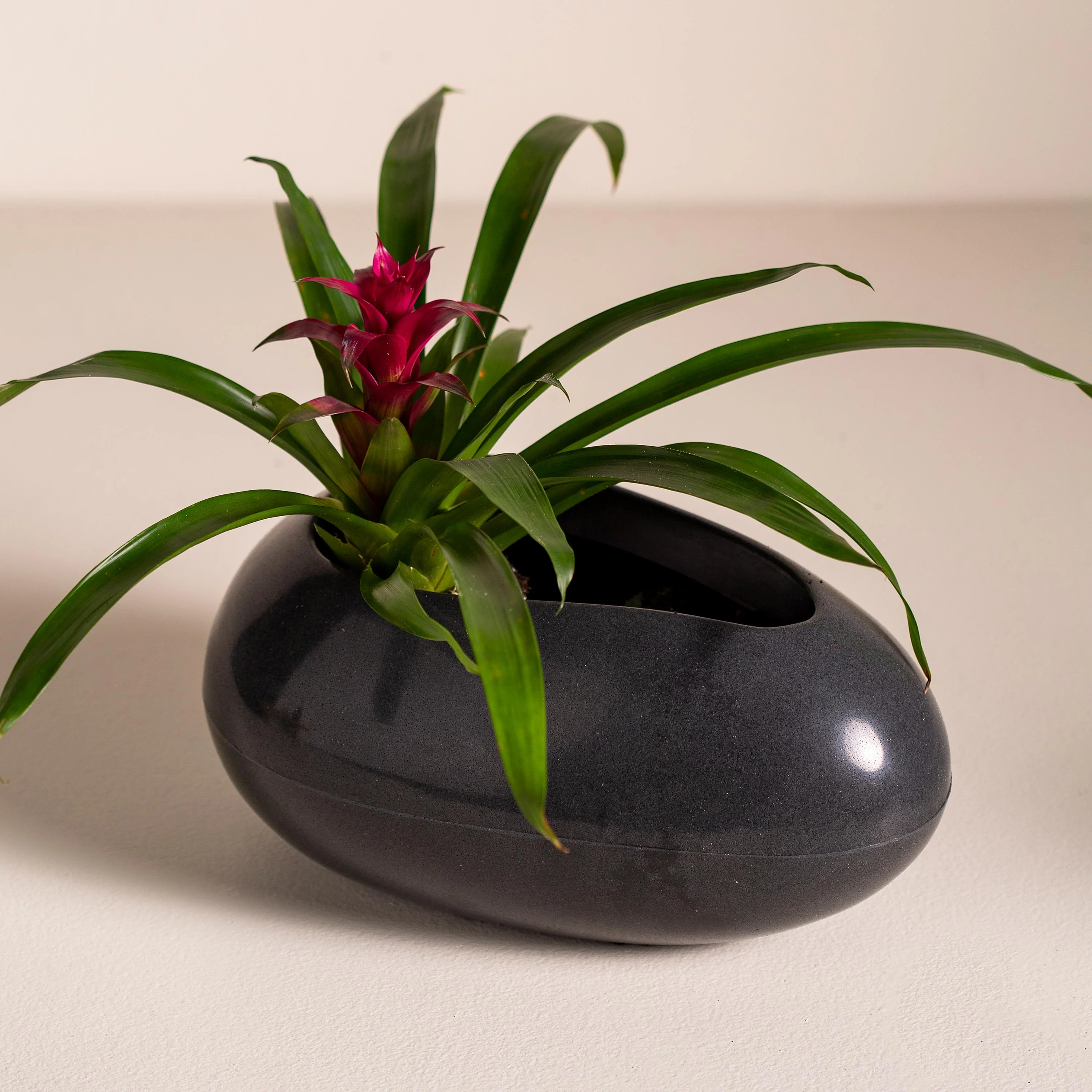 Brazilian Egg Shaped Planter
