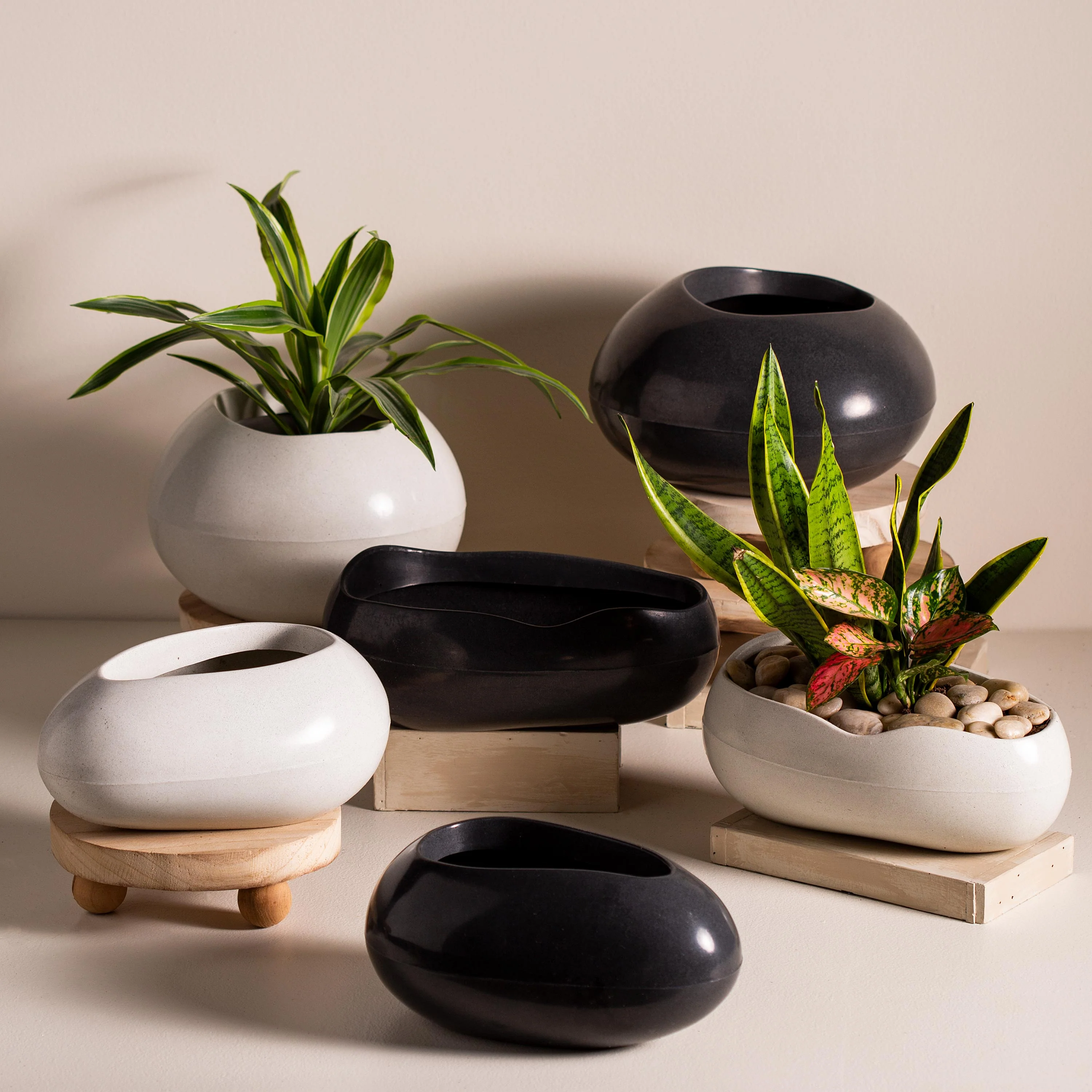 Brazilian Egg Shaped Planter - Image 9