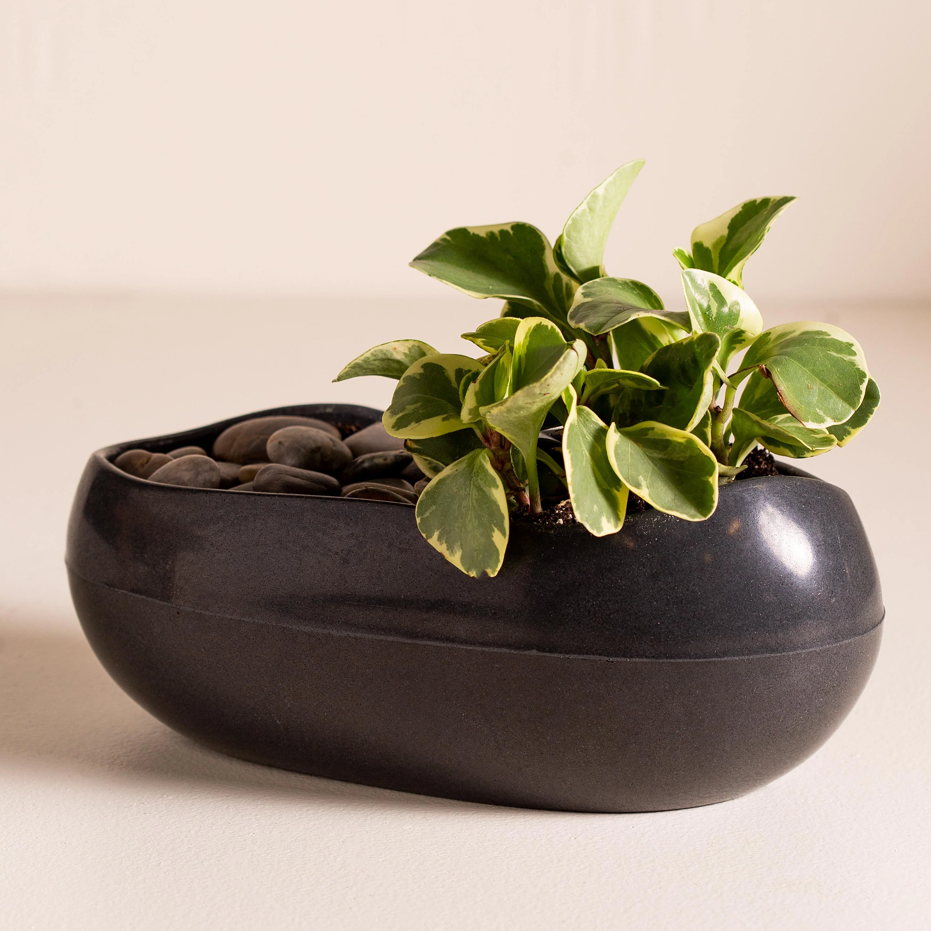 Roll Stone Planter