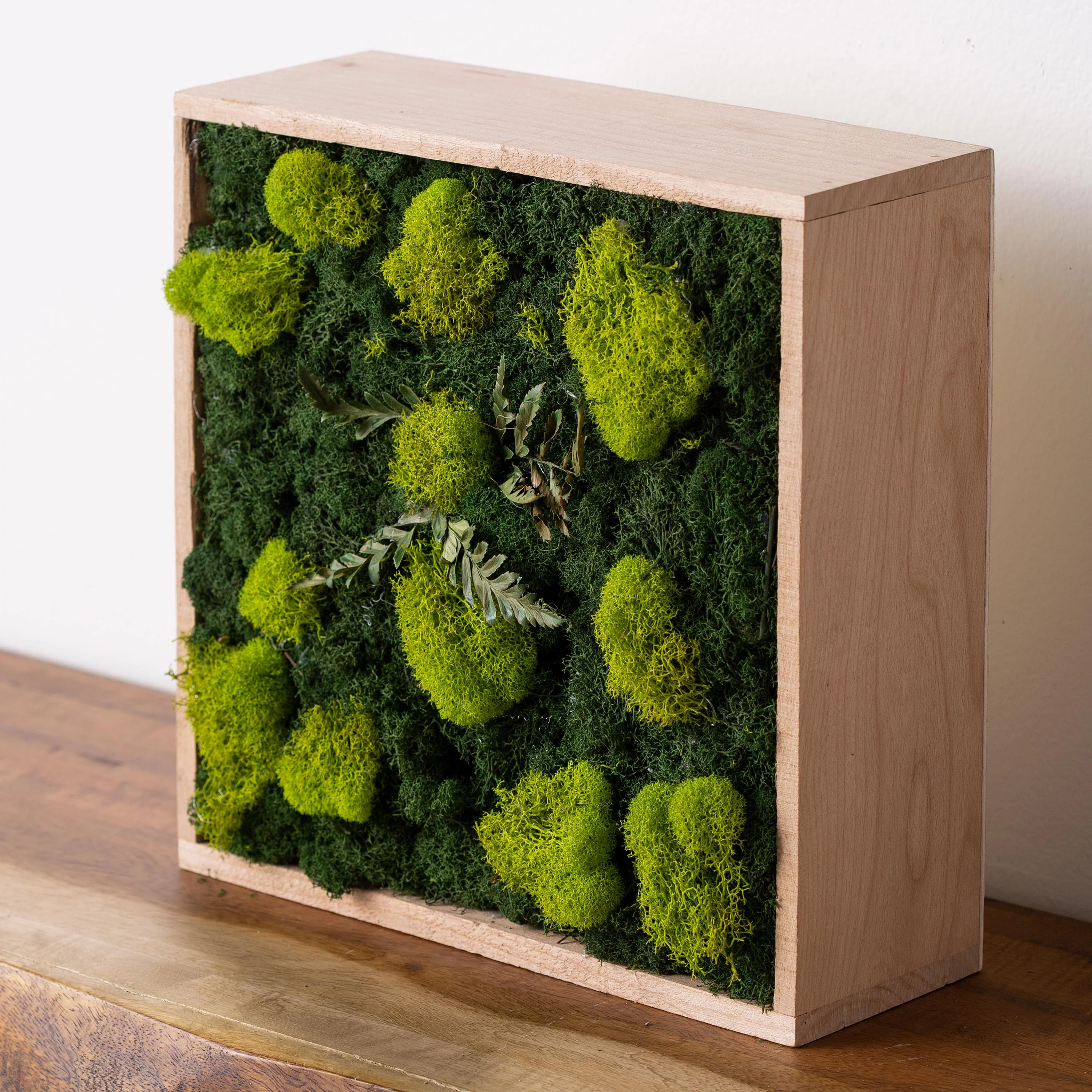 Moss Wall Art
