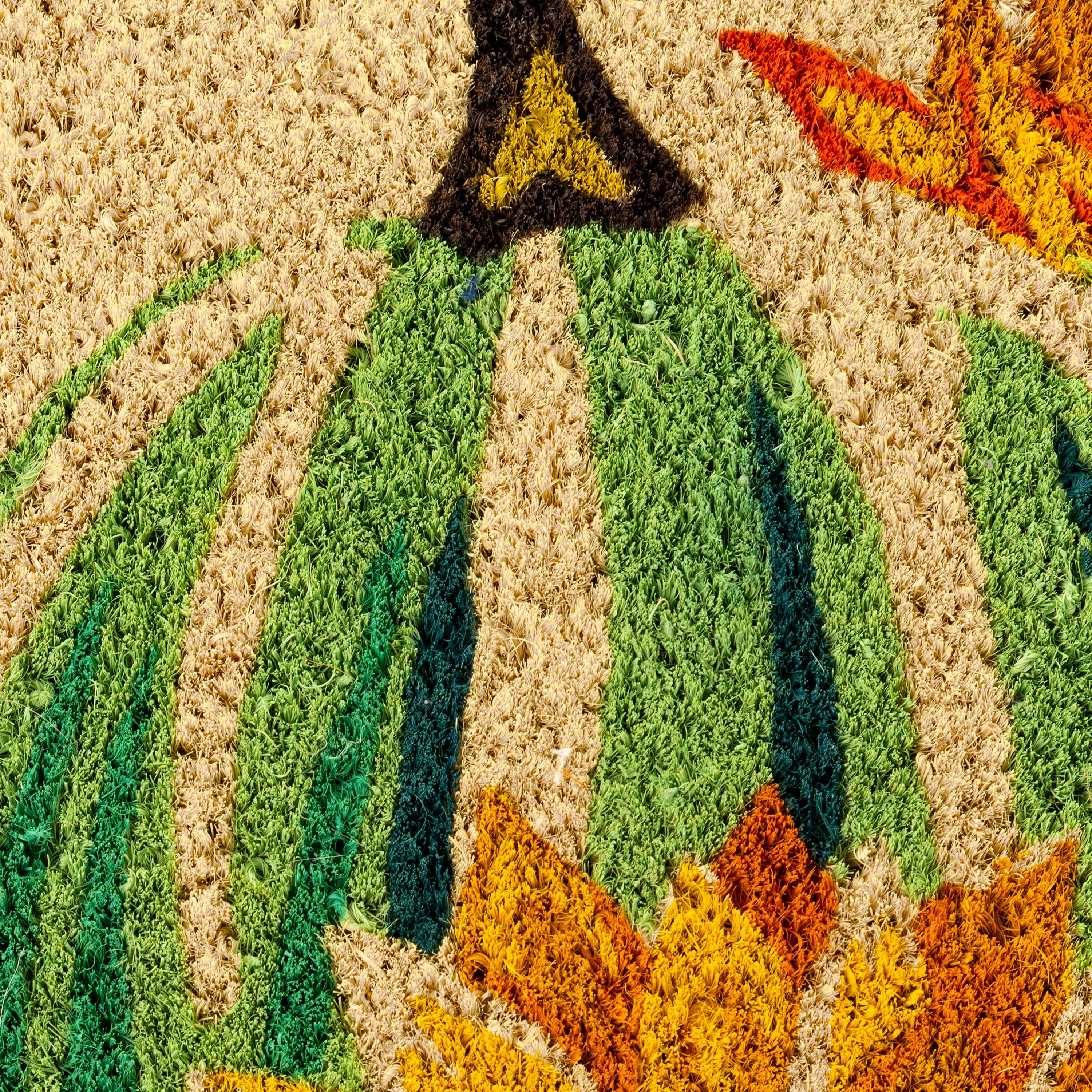 Harvest Pumpkin Coir Mat - Image 6