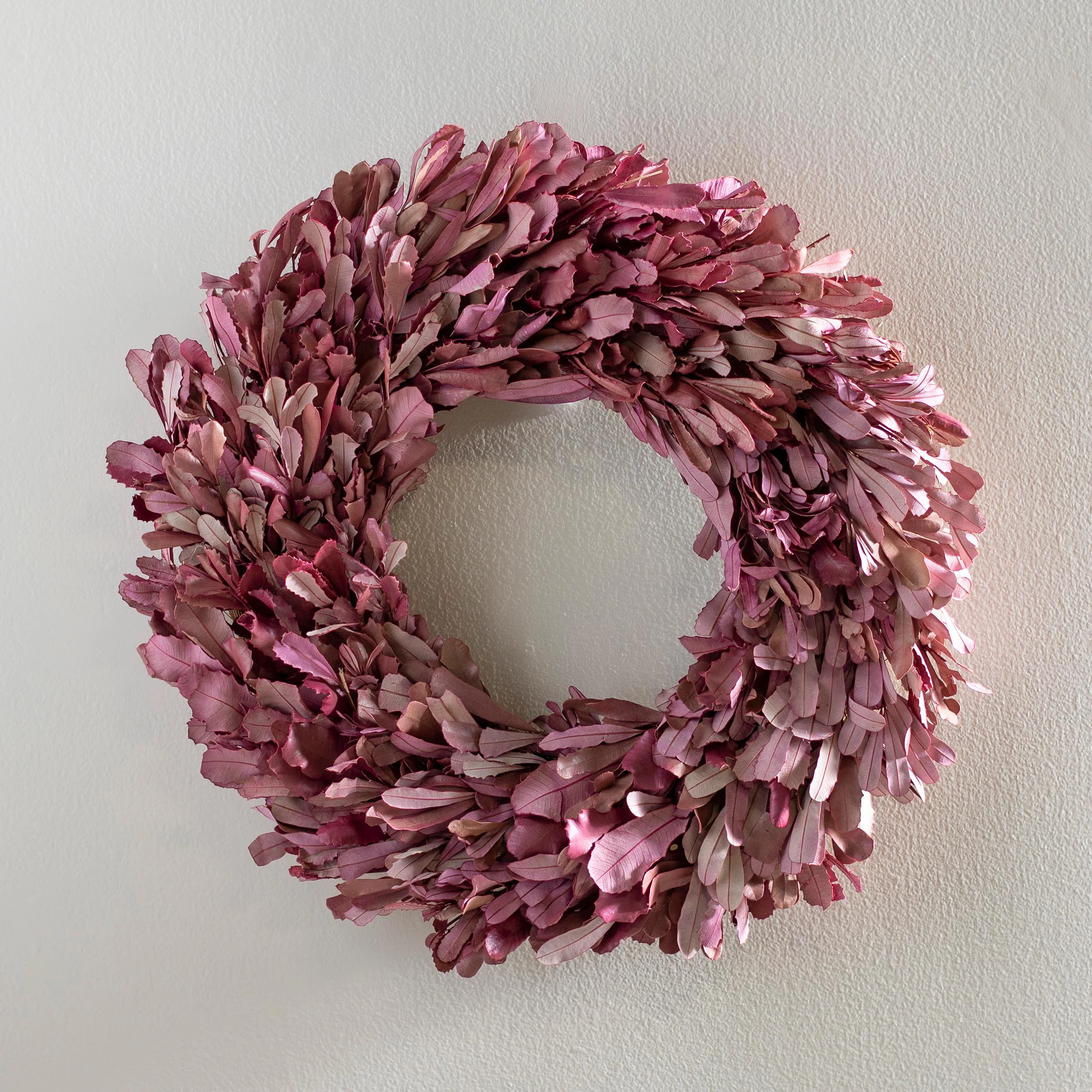 Dried 22" Natural Integrifolia Wreath, Blush