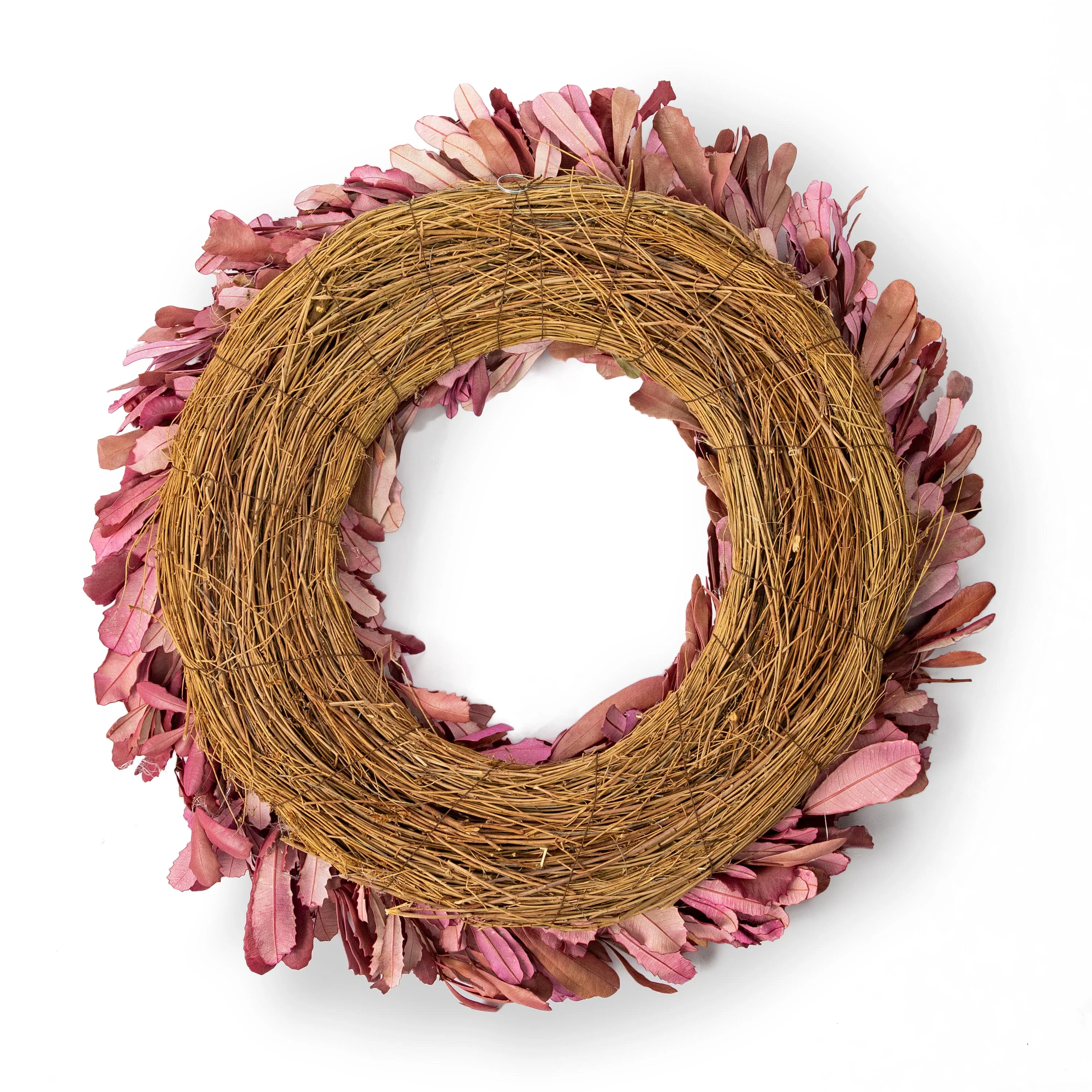 Dried 22" Natural Integrifolia Wreath, Blush - Image 4