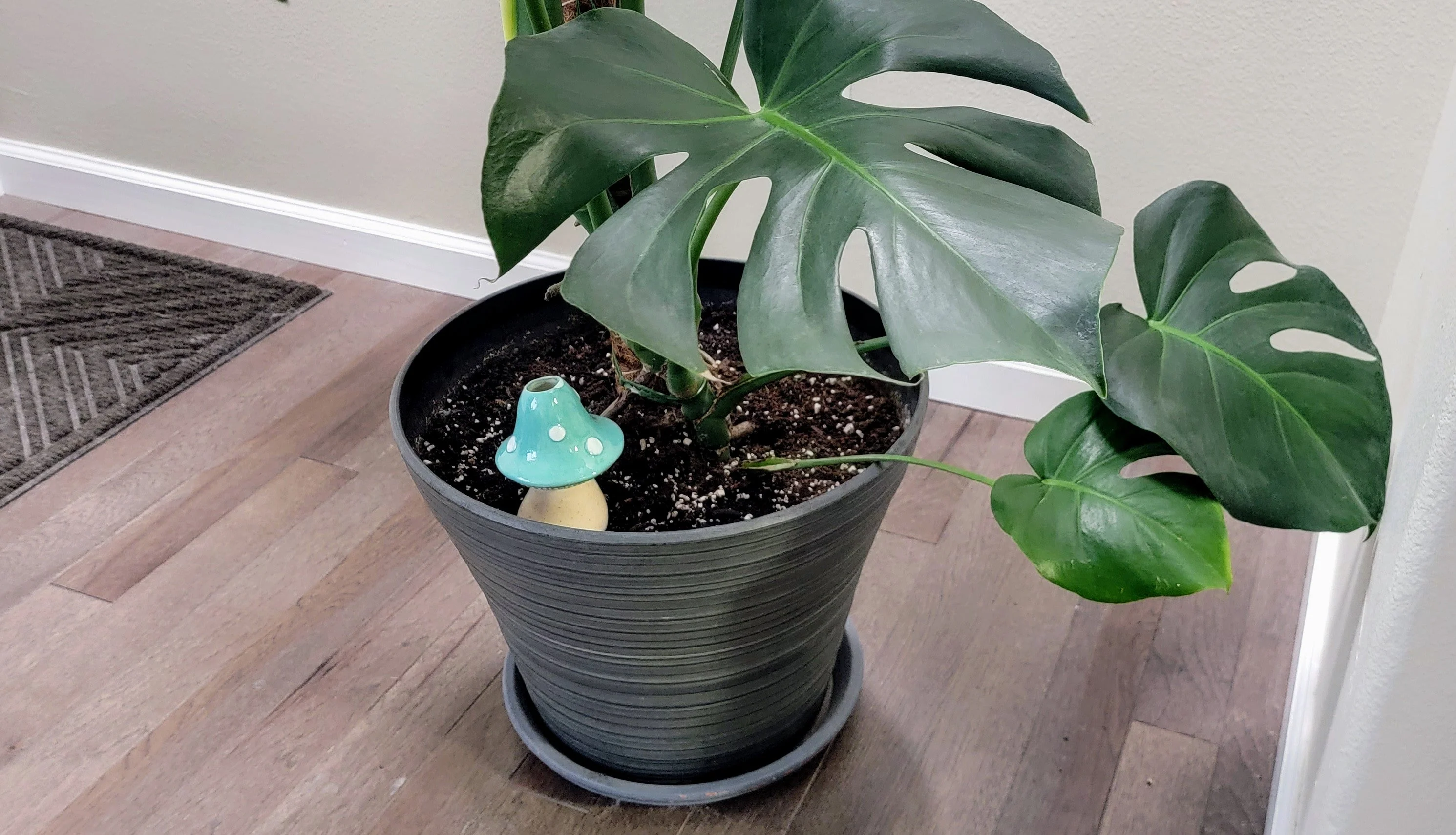 X-Large Toadstool Watering Spike - Image 2